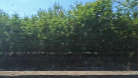scenic views of fields and greenery from train