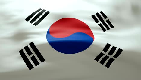agitando la bandera de corea del sur - bucle