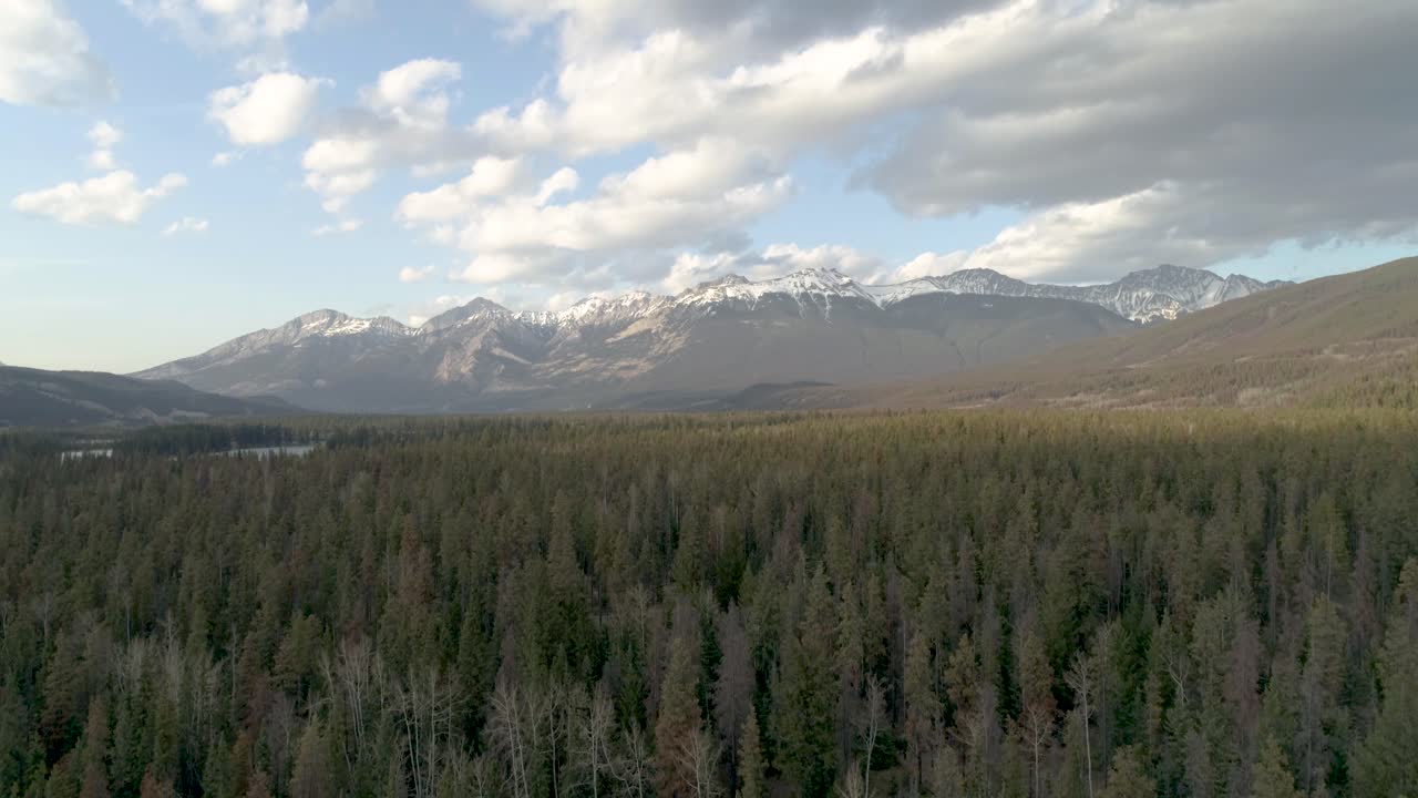Foresta nelle Montagne Rocciose canadesi - Riprese aeree.