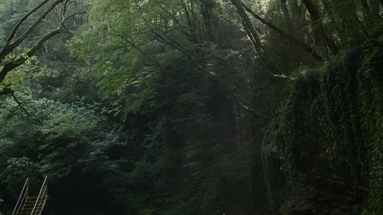 cañón del bosque con gente.