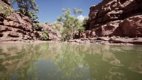 waterhole in a red rock canyon