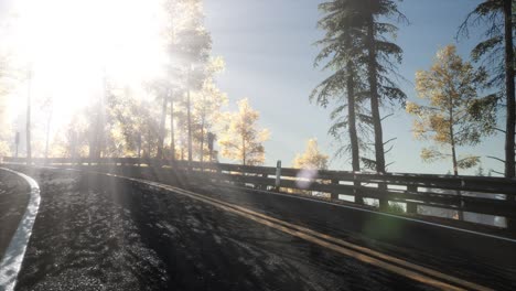 camino en el bosque