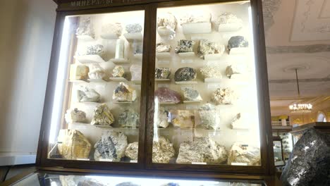 mineral collection display case