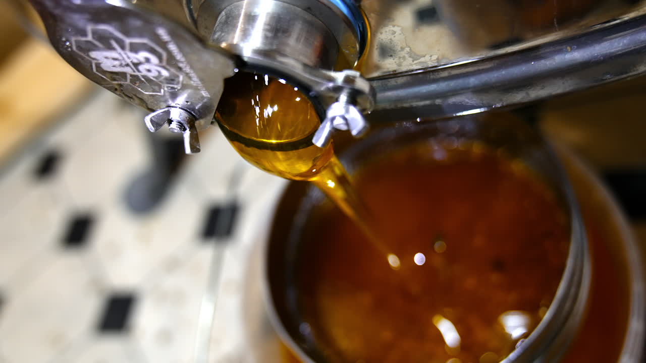 Processo di estrazione del miele
