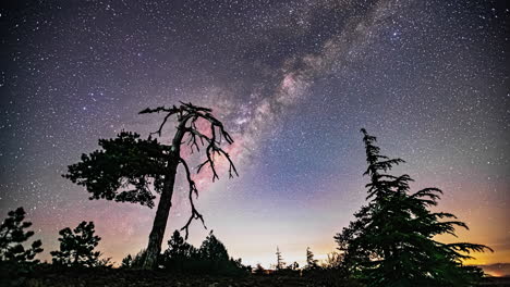 Impresionante-Lapso-De-Tiempo-Del-Cielo-Y-La-Vía-Láctea-Con-árboles-Retroiluminados