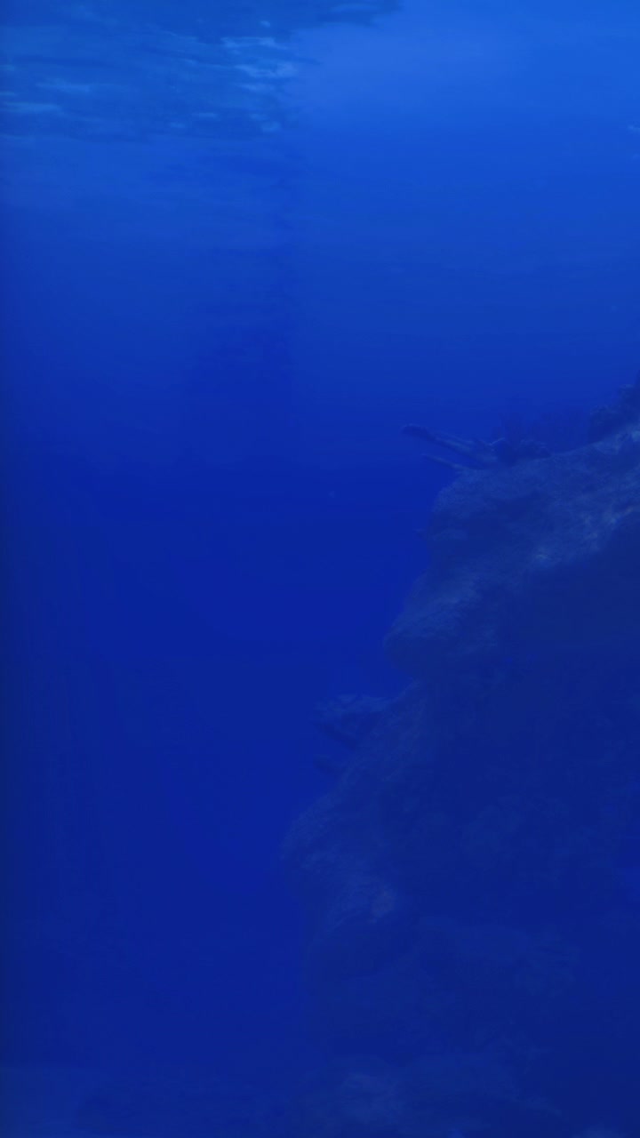 Scena subacquea che mostra una roccia e luce in acqua blu profonda.