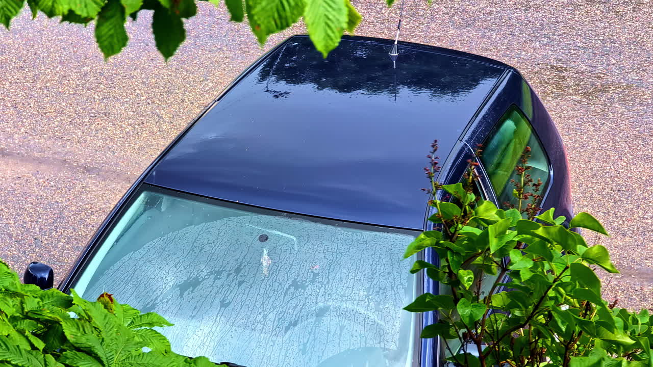 Wet blue car seen from above behind tree leaves after light rain shower