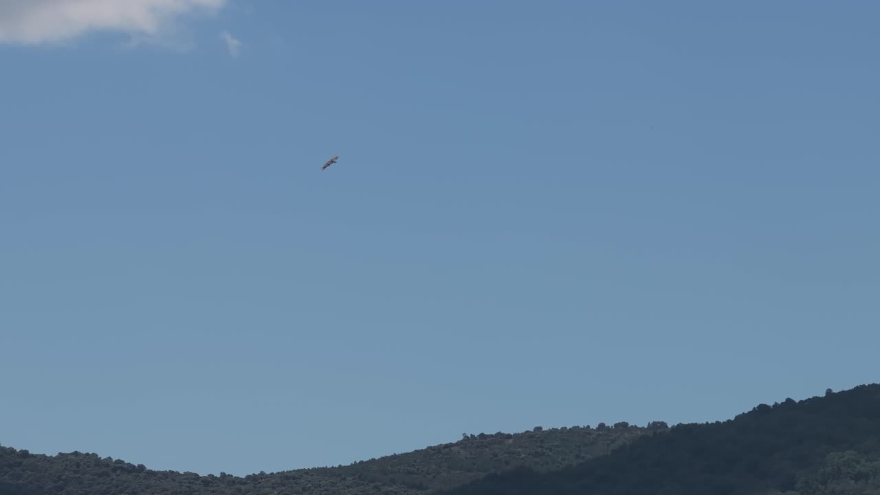 A bird flies over a mountain