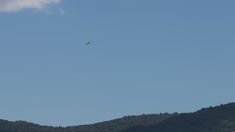 a bird flies over a mountain