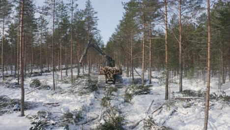Forestry-machine-collecting-logs-in-pineforest