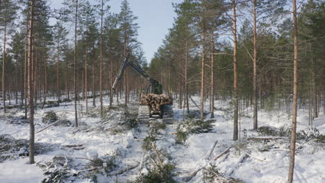 máquina forestal recogiendo troncos en el bosque de pinos