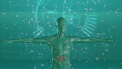 3d rendered green tinted male figure being visualized in t pose, showing skeleton and network nodes