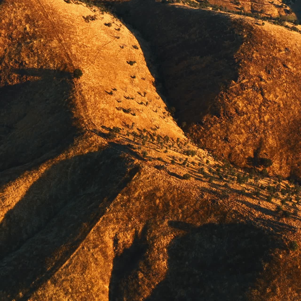 Rarely growing plants on the slopes of smooth rocks. Drone rising above the mountains in California desert