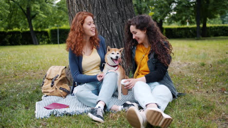amigos disfrutando de un picnic en el parque con su perro