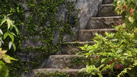 stone steps in a lush garden