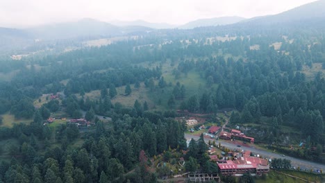 Blick-Auf-Den-Wald-In-Der-Nähe-Von-Mexiko-Stadt