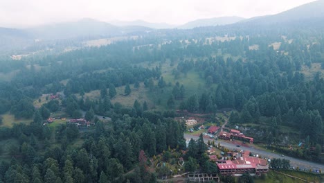 vista del bosque cerca de la ciudad de méxico