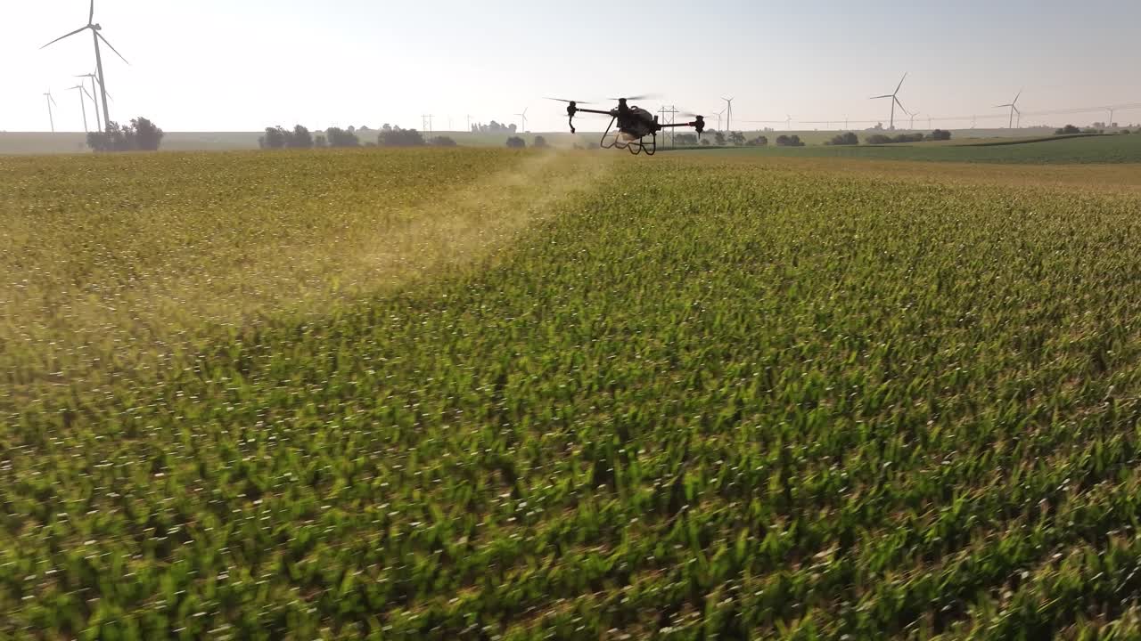 drones agrícolas rociando productos químicos en un campo de maíz en iowa en el verano