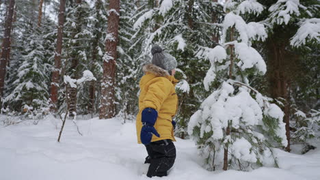 winter in forest little child is playing with small snowy spruce and laughing carefree childhood