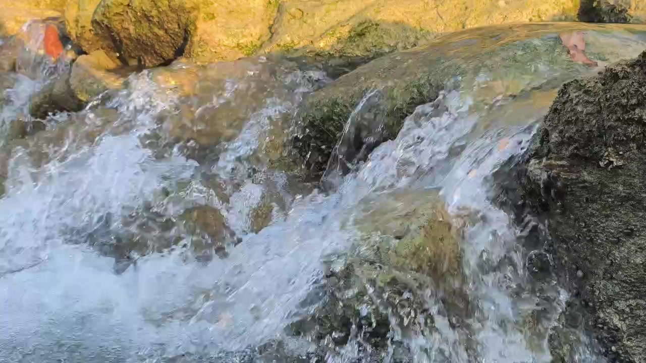 Acqua limpida che scorre su rocce muschiose in un ruscello