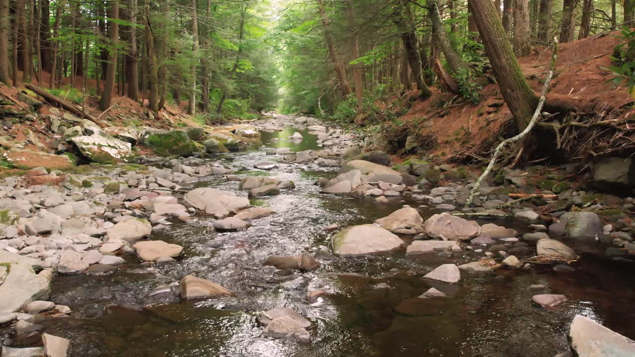 Nízké plynulé video záběry dronu krásného potoka v Apalačském lese na podzim