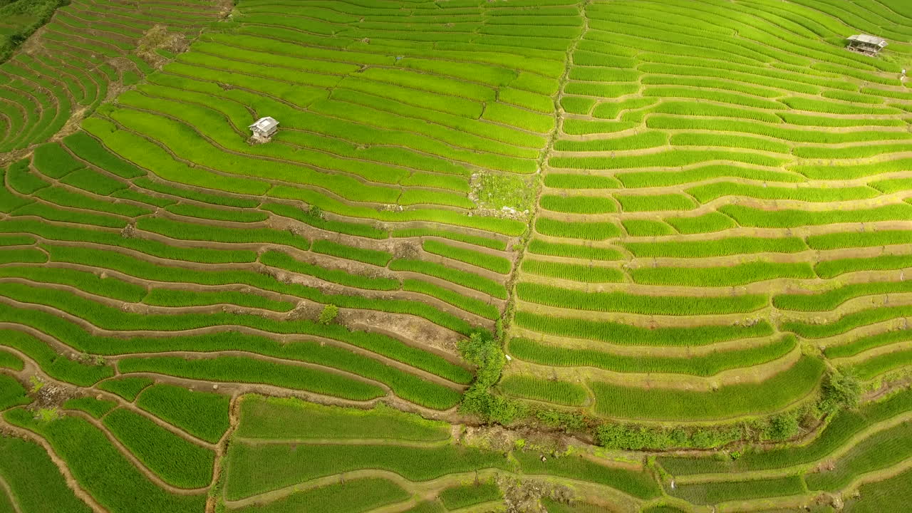 terraza de campo de arroz en tierras de agricultura de montaña.