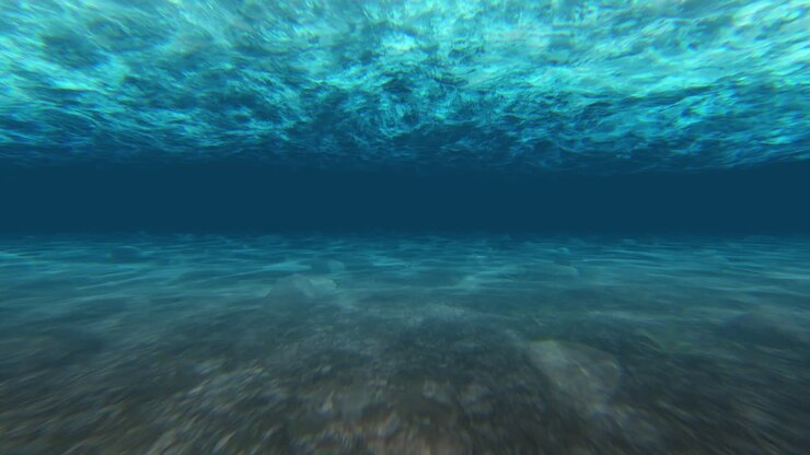 Escena submarina