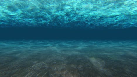 escena bajo el agua
