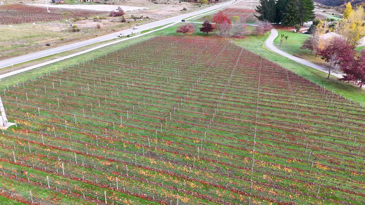 Drone captures scenic vineyard landscape in Queenstown