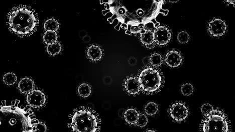 el fondo de covid-19 o coronavirus 2019 en bucle con células de virus blancas y negras, renderización 3d