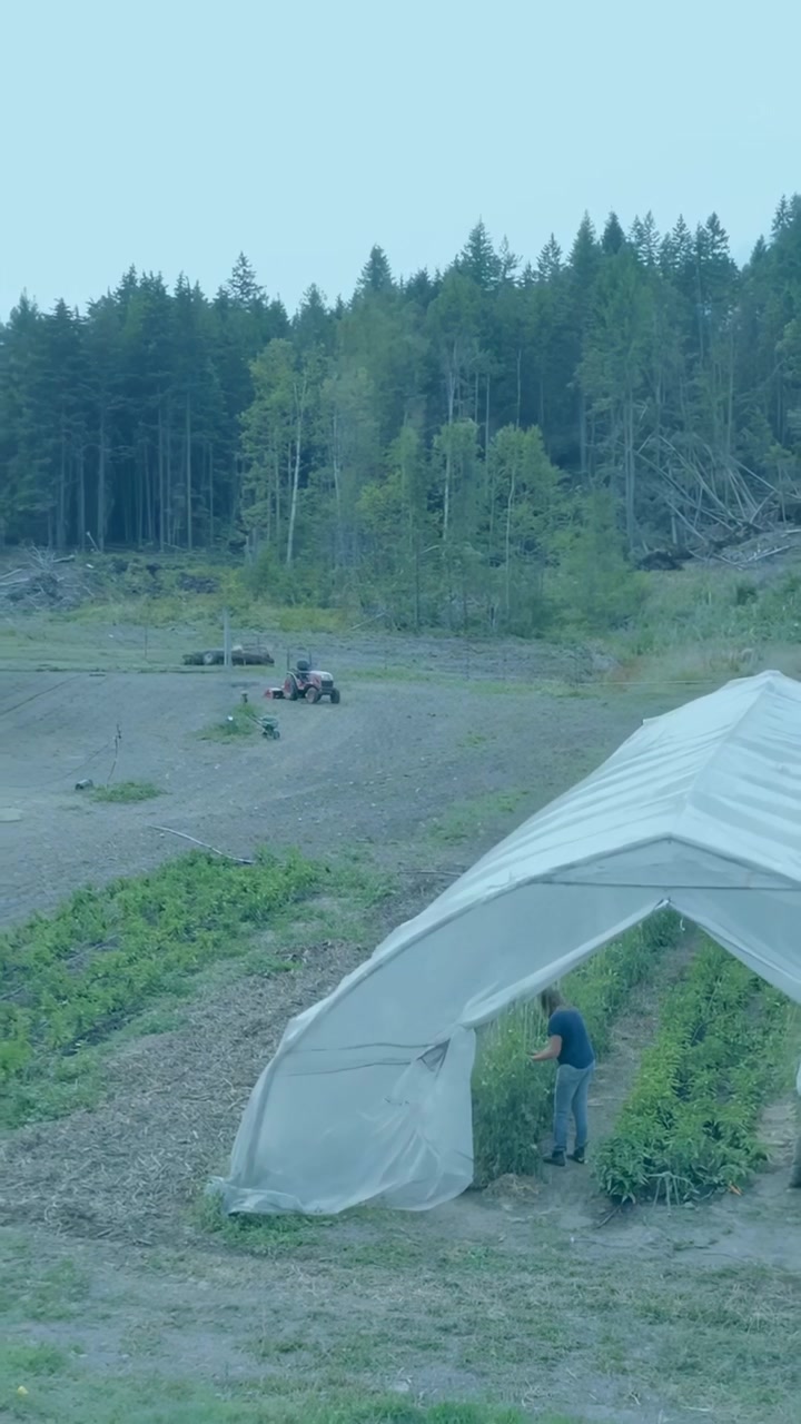 Vertikal video: Landmand passer tunnelplanter, mens diagrammer falmer og viser afgrøderækker til kortlægning