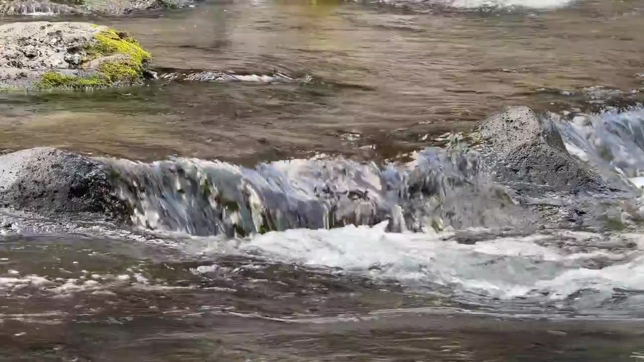 Acqua limpida che scorre su rocce muschiose in un ruscello