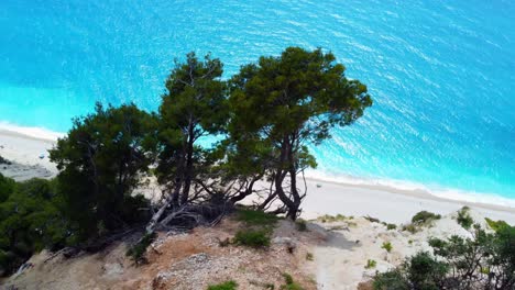 árboles y vegetación en las montañas de roca blanca de la isla griega de lefkada, playa de egremni