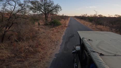 Driving POV: Canvas roof as safari vehicle drives on road at dawn