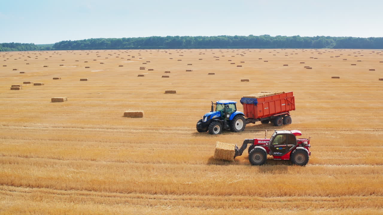 Loaded tractor machine moves along the mowed field. Little loader vehicle follows it to upload the haystack. Beautiful scenery backdrop.