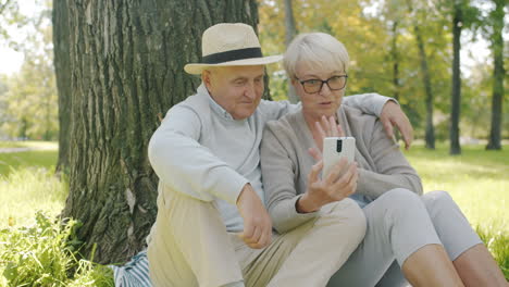 senior couple using a smartphone in a park