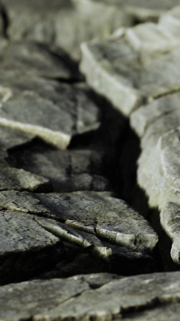 Klippeoverflade med revner og teksturer i naturlige omgivelser i dagslys.