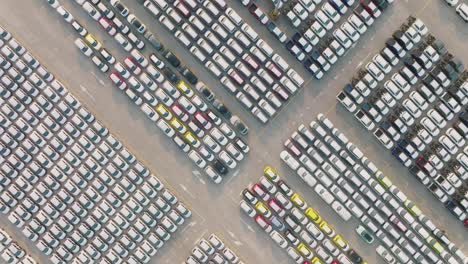 aerial view of large parking new cars distribution center of modern seaport.