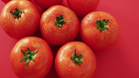 분홍색 배경에 신선한  ⁇ 은 토마토의 클로즈업 비디오