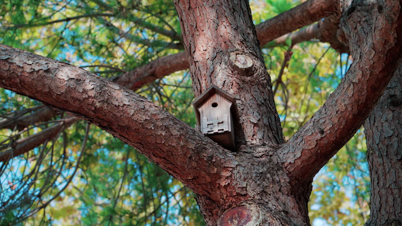 Close-up van een klein houten vogelhuisje bevestigd aan een boomtak, omringd door groene bladeren