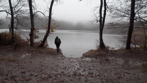 guy walking through beautiful autumn beech forest under the rain in the catalan mountains