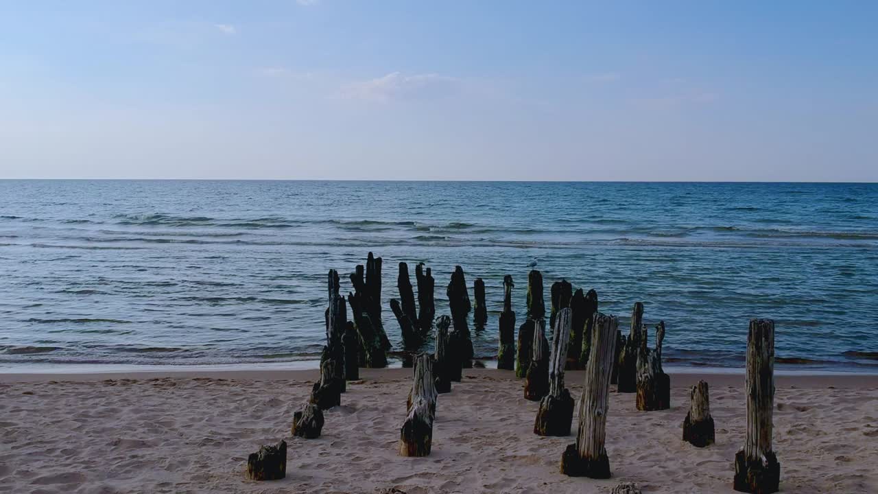 vista del mar tranquilo y la gaviota sentada en los viejos postes de madera en ruinas en la playa