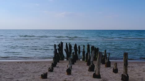 Blick-Auf-Das-Ruhige-Meer-Und-Die-Möwe,-Die-Auf-Den-Alten,-Zerstörten-Holzpfosten-Am-Strand-Sitzt