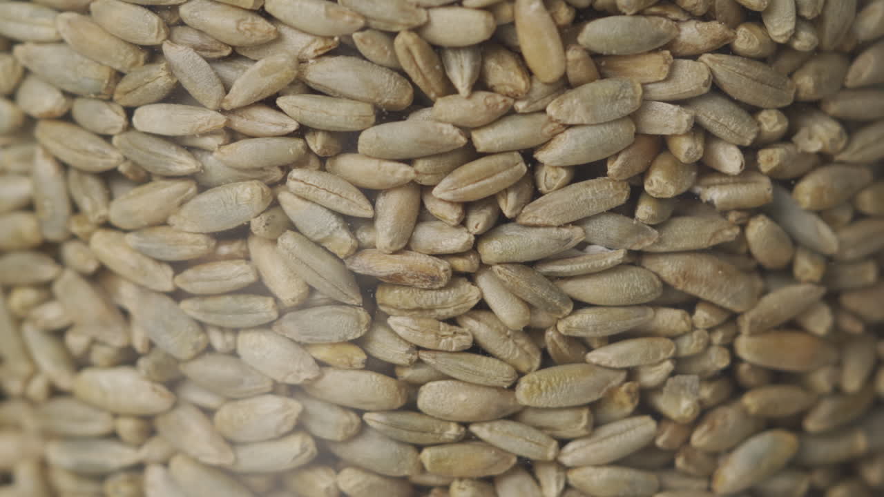 유리 항아리 에  을 천천히 는 것