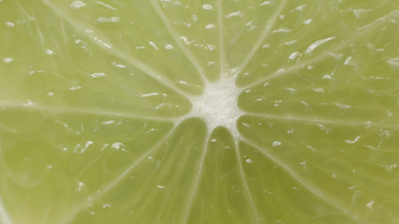 estudio rotativo macro de cal 4k