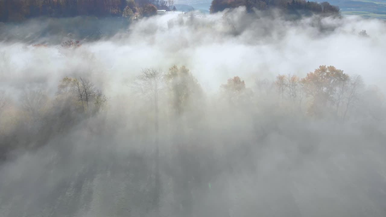 안개 낀 무성한 녹색 계곡의 장엄한 전망