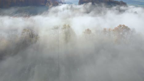 spectacular view over misty lush green valley