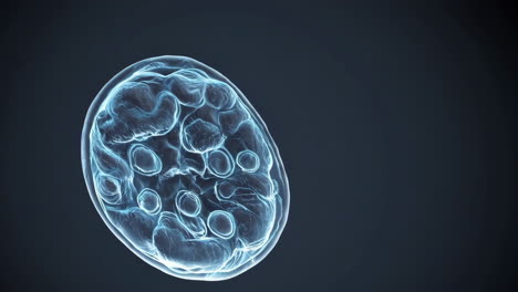 3d illustration of a cell