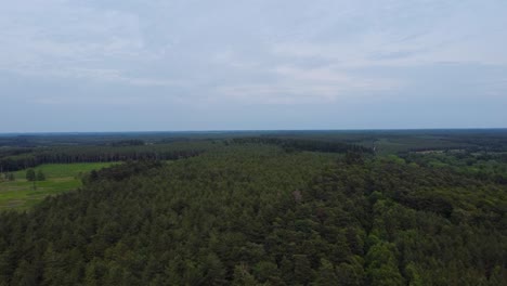 Toma-Aérea-De-Establecimiento-De-Un-Bosque-Con-Un-Cielo-Azul-En-El-Fondo-Por-La-Mañana