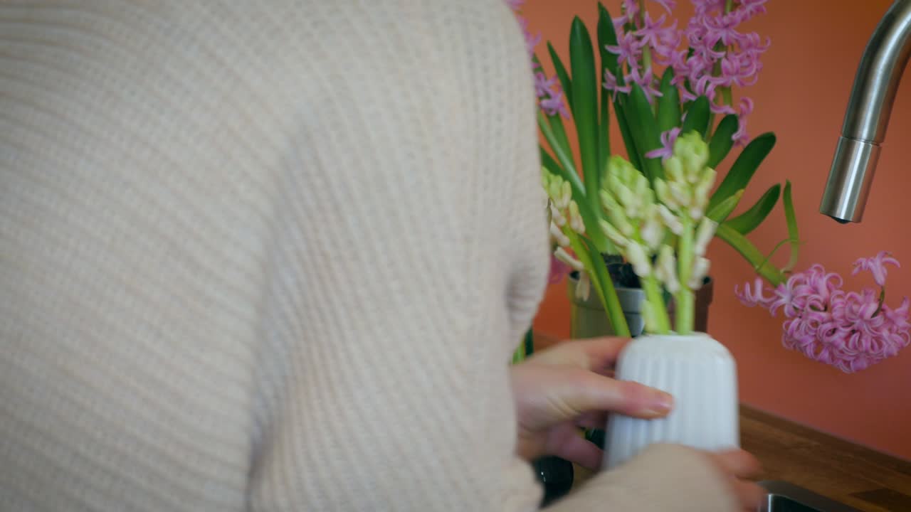 Watering the Hyacinth Bulbs
